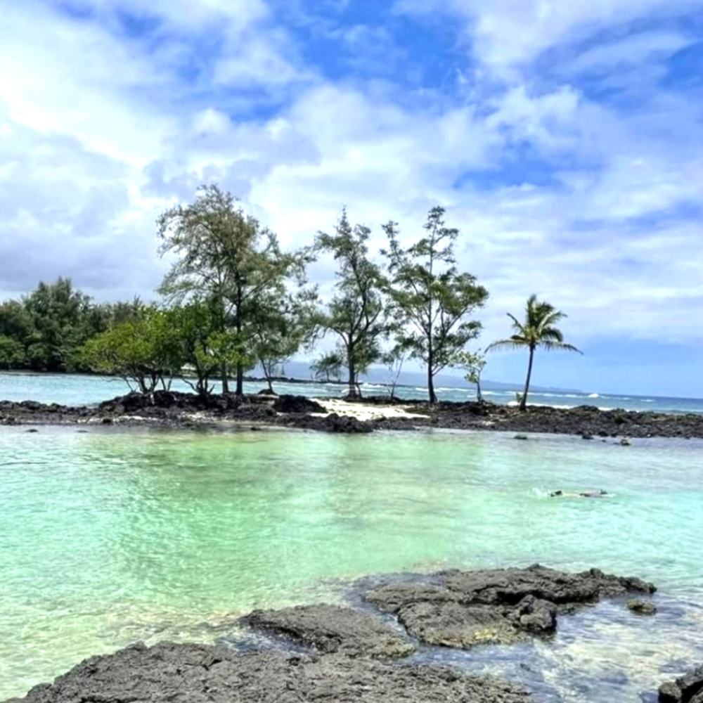 Clothes, Shoes, Jewelry, Purses, Vintage, Retro, Anything That Catches My Eye.